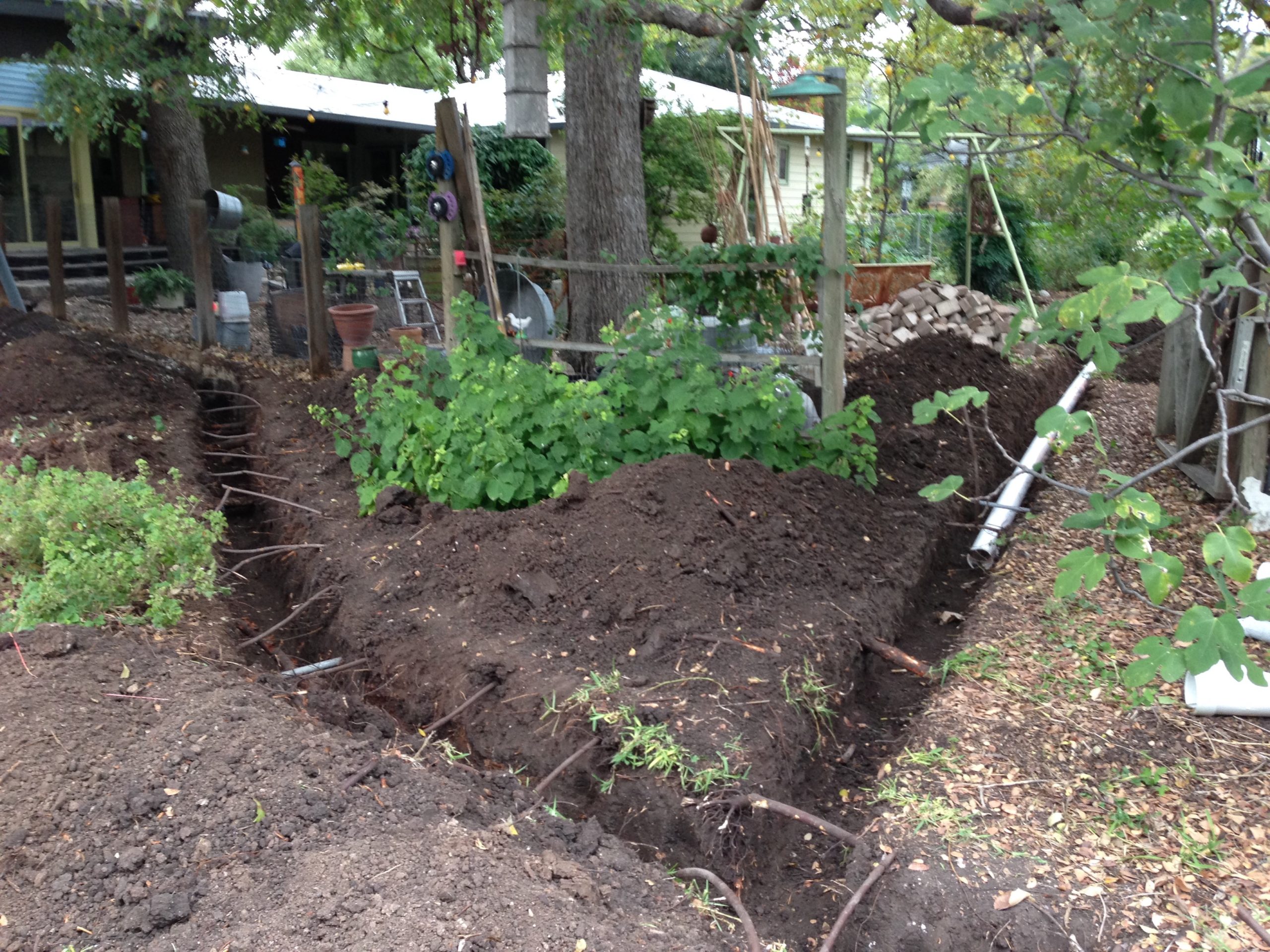 Trenches were dug to lay pvc pipe from the gutters to the rainwater tank.