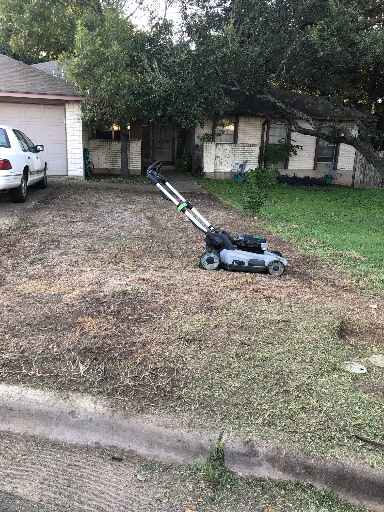 the first step was to mow the lawn as short as possible.
