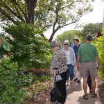 Learning in the Demo Garden at AgriLife Extension Travis County office