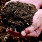 January Gardening Checklist - Add Compost