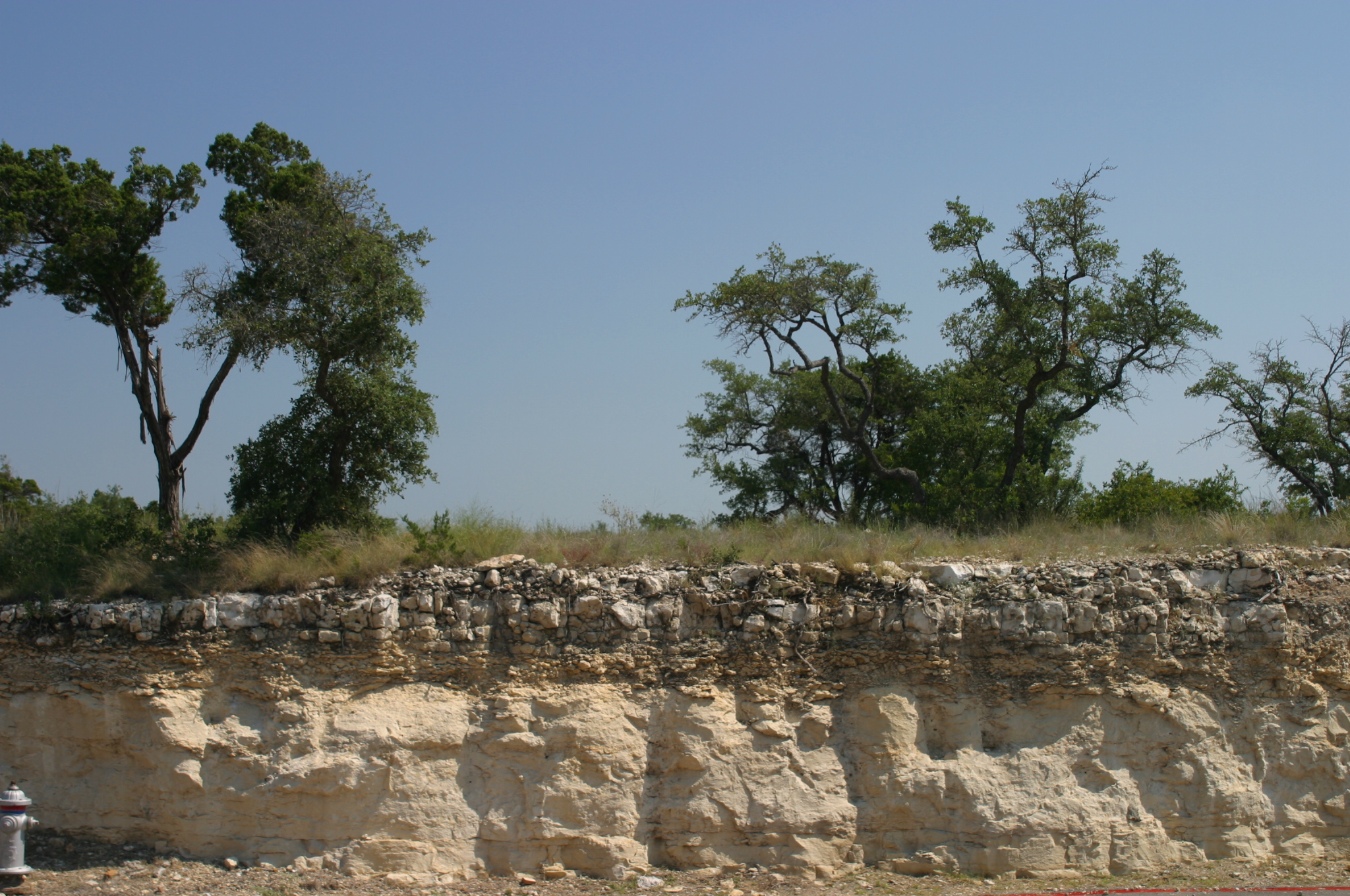 Edwards Plateau Cross Section Showing Limestone and Thin Soil