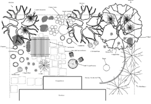 Landscape Design example