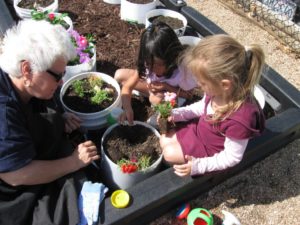 Master Gardener Roz teaching gardening at a preschool