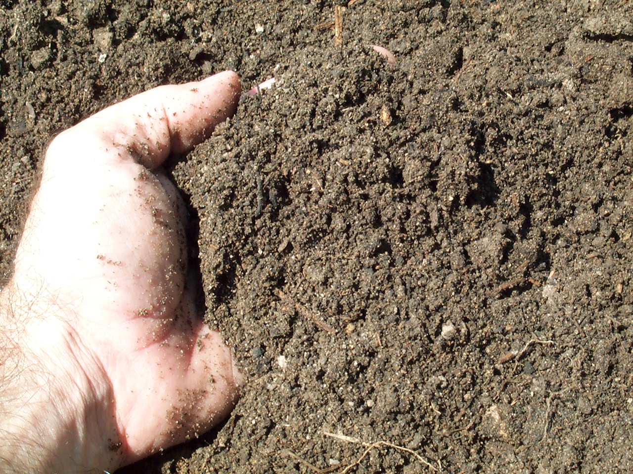 High quality soil with lots of organic matter