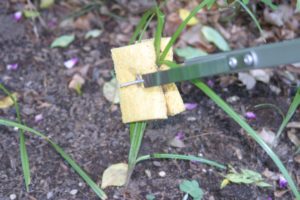 homemade weed wiper used on nutsedge