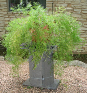 Plant stand made from recycled materials like cement roofing tiles