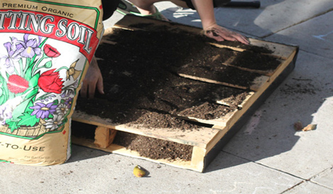 Add soil through pallet slats