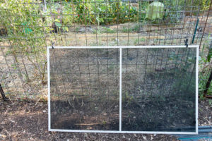 Window screen providing shade for transplants