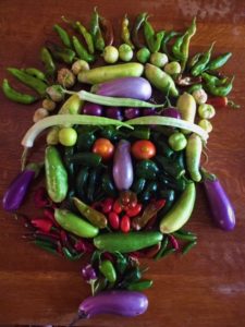 Face made of vegetables