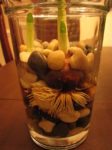 Bulbs planted in a glass jar with pebbles instead of soil