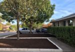 A front yard weeded, mulched and ready for replanting.