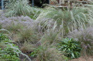 Ornamental grass planting bed