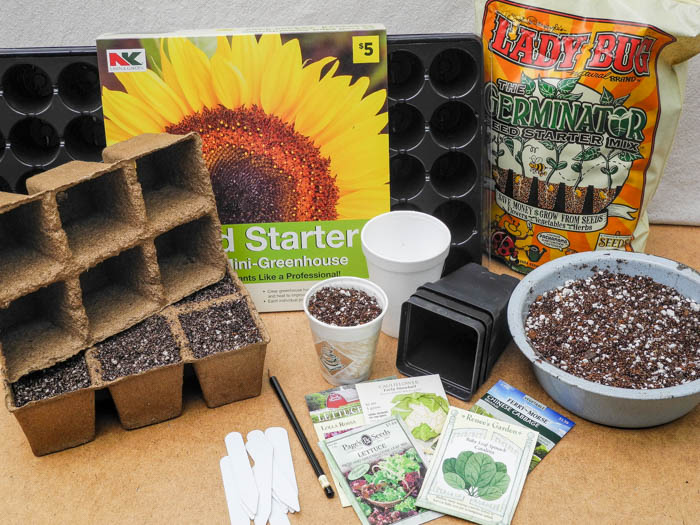 Start vegetable garden seeds indoors