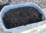 Finished compost ready to spread in the yard