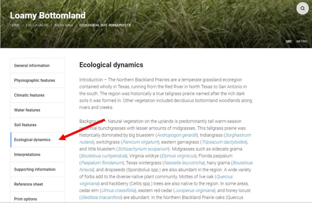 Screenshot of loamy bottomland soil description page