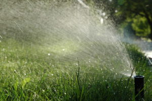 Lawn Sprinkler