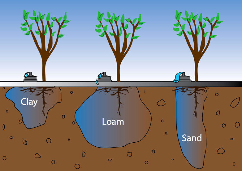 illustration of water absorption by soil type