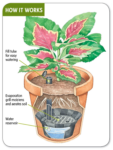 illustration of how to include a water reservoir