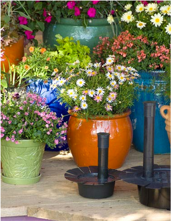 Beat the Heat by Watering From the Bottom Up By Kirk Walden