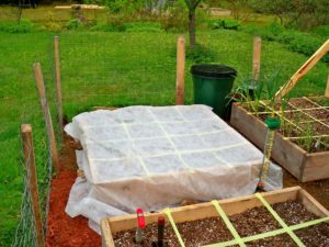 row cover placed over planting bed to protect the November vegetable garden from frost