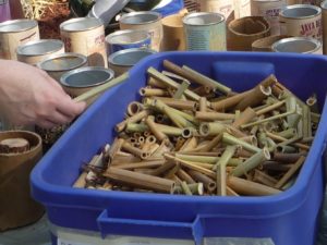 Bamboo pieces ready for insect hotel construction for the plant clinic at east feast