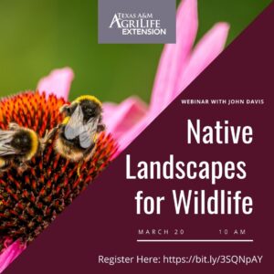 Native Landscapes for wildlife poster
